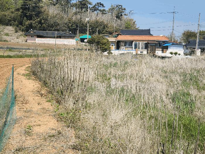 2025타경51279 법원경매 사진7 | 충남 서산시 주택건물 경매