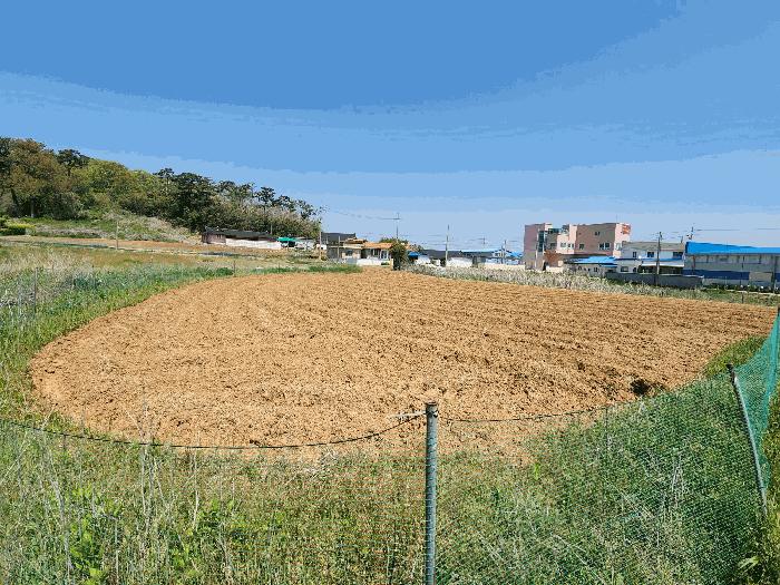 2025타경51279 법원경매 사진11 | 충남 서산시 주택건물 경매