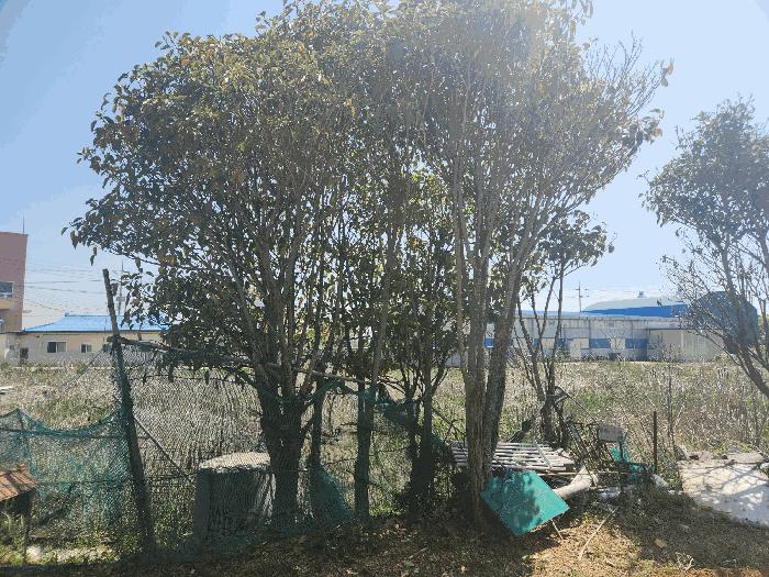 2025타경51279 법원경매 사진15 | 충남 서산시 주택건물 경매