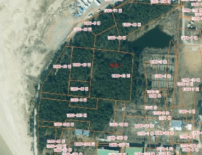 2025타경51430 법원경매 사진2 | 충남 태안군 임야 경매