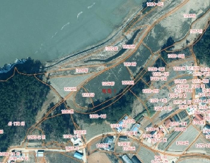 2025타경51488 법원경매 사진7 | 충남 태안군 답 경매