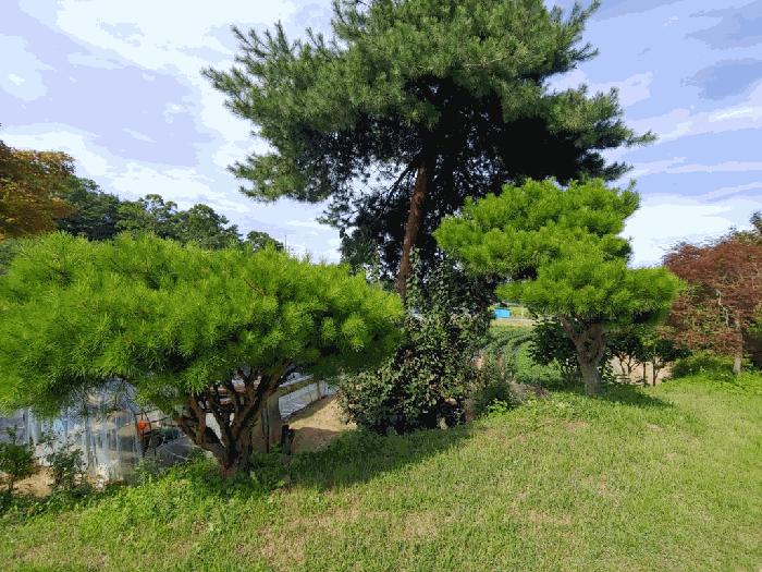 2025타경51512 법원경매 사진4 | 충남 당진시 주택건물 경매
