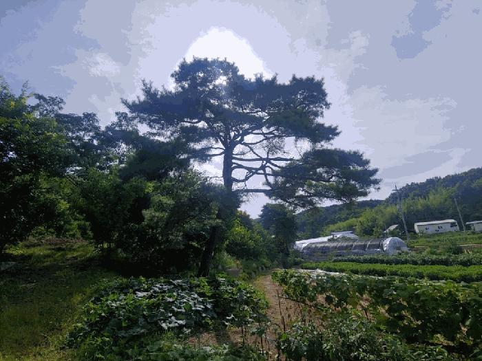 2025타경51512 법원경매 사진5 | 충남 당진시 주택건물 경매