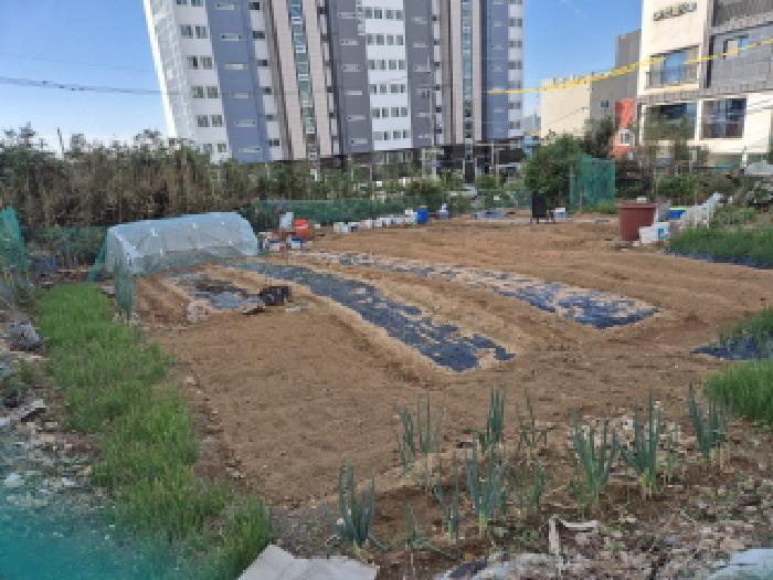 법원경매 2025타경12684 사진9 | 동구 방어동 211-8 도로 경매