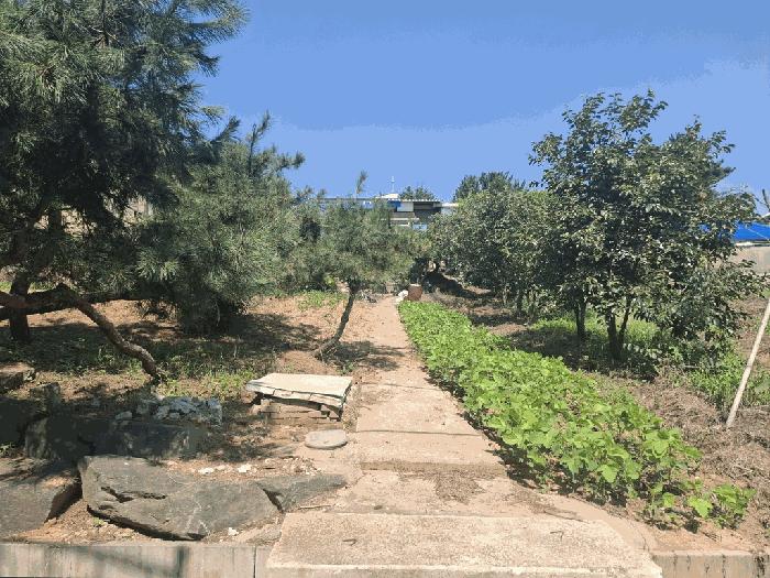 충청남도 당진시 합덕읍 운산리 247-72 법원경매 물건 대표사진