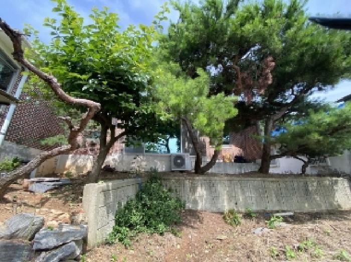 2025타경51529 법원경매 사진16 | 충남 당진시 대지 경매