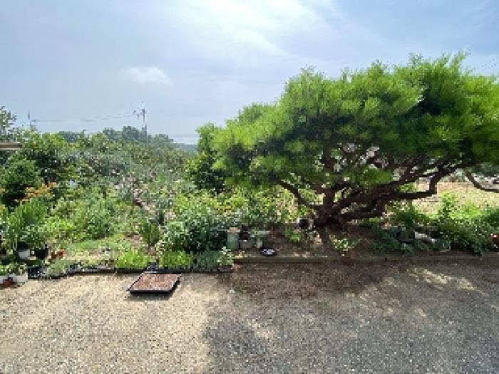 2025타경51529 법원경매 사진28 | 충남 당진시 대지 경매