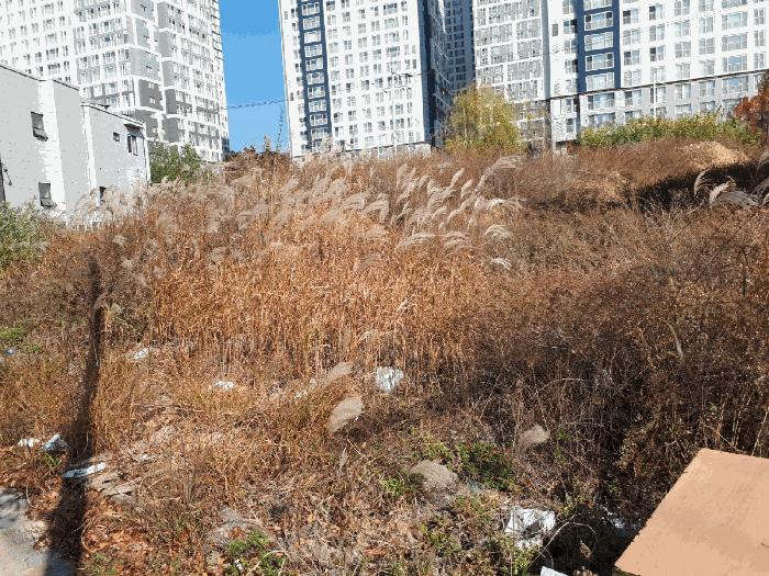 2025타경12829 법원경매 사진2 | 울산 북구 대지 경매