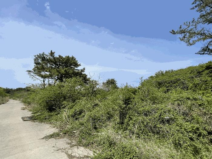 2025타경7911 법원경매 사진4 | 제주 제주시 임야 경매