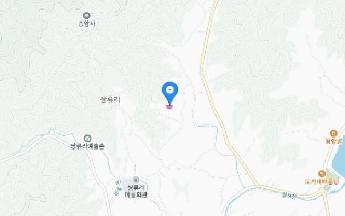 법원경매 2025타경503292 사진9 | 세종 연서면 쌍류리 94-23 임야 경매