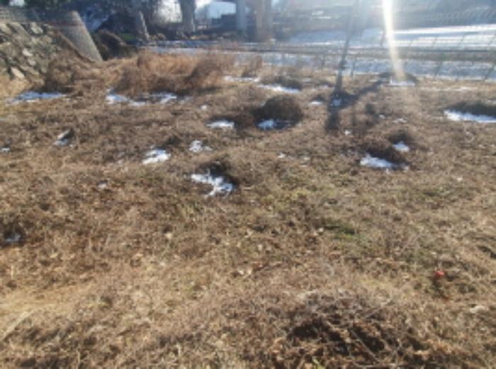 법원경매 2024타경42121 사진7 | 양평군 옥천면 아신리 545-5 답 경매