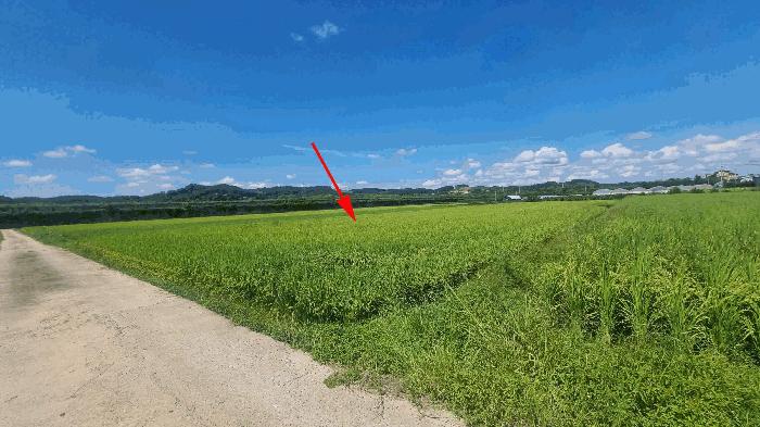 경기도 연천군 군남면 삼거리 962 법원경매 물건 대표사진