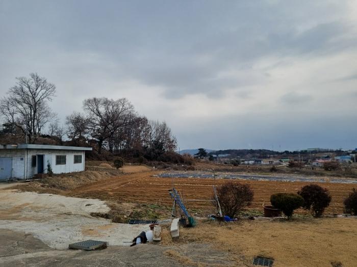 경기도 화성시 장안면 노진리 547 법원경매 물건 대표사진