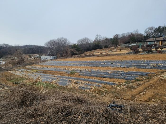 법원경매 2024타경103051 사진2 | 화성시 장안면 노진리 547 전 경매