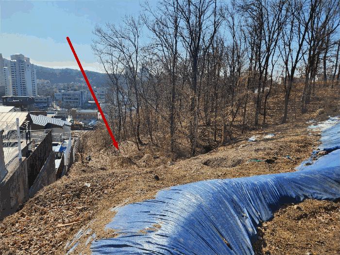 법원경매 2025타경517 사진2 | 용인시 기흥구 보라동 298-46 임야 경매