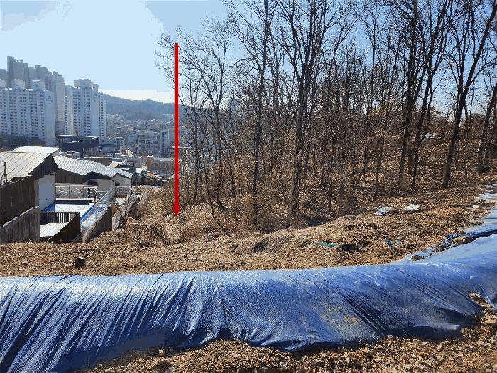 법원경매 2025타경517 사진4 | 용인시 기흥구 보라동 298-46 임야 경매
