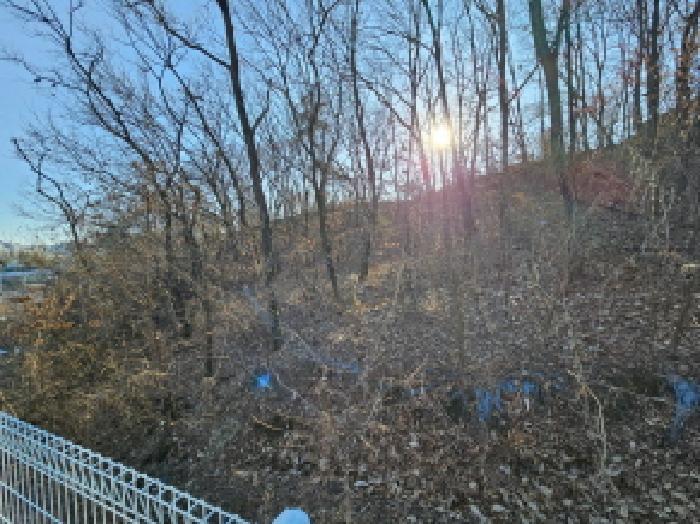 법원경매 2025타경517 사진6 | 용인시 기흥구 보라동 298-46 임야 경매