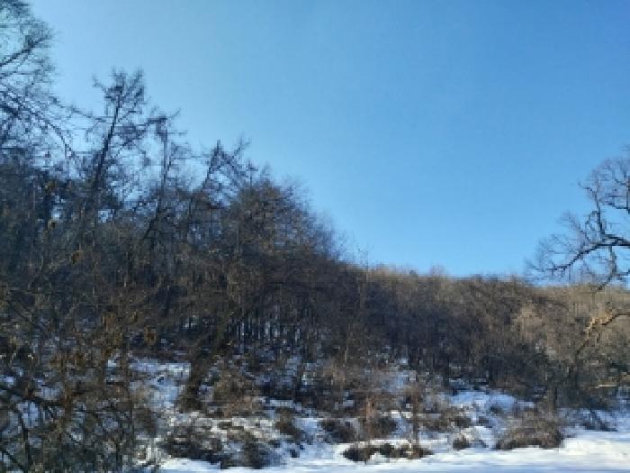 법원경매 2025타경53092 사진4 | 용인시 수지구 동천동 임야 경매
