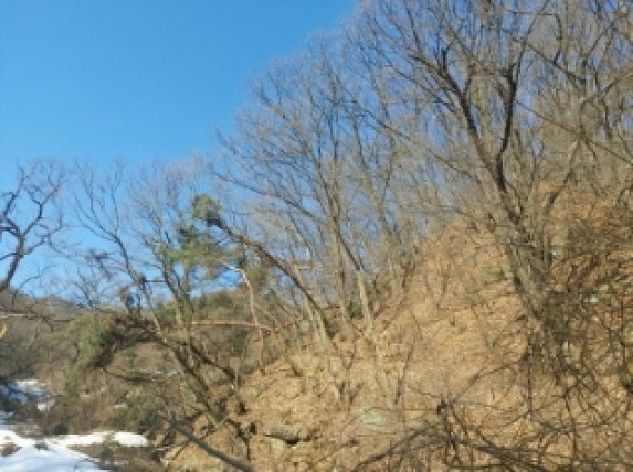 법원경매 2025타경53092 사진5 | 용인시 수지구 동천동 임야 경매