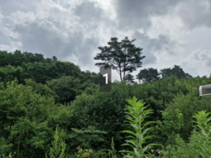 법원경매 2024타경36621 사진17 | 양평군 옥천면 용천리 275-11 임야 경매