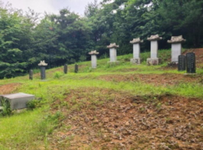 법원경매 2024타경36621 사진18 | 양평군 옥천면 용천리 275-11 임야 경매