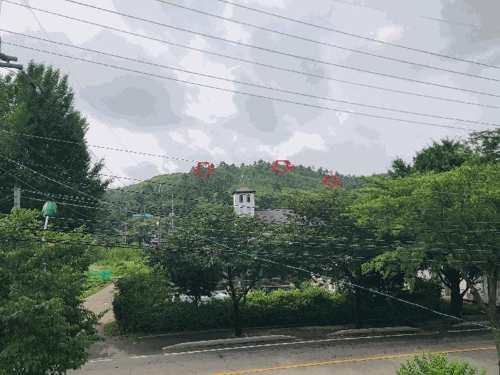 법원경매 2024타경36621 사진3 | 양평군 옥천면 용천리 275-11 임야 경매