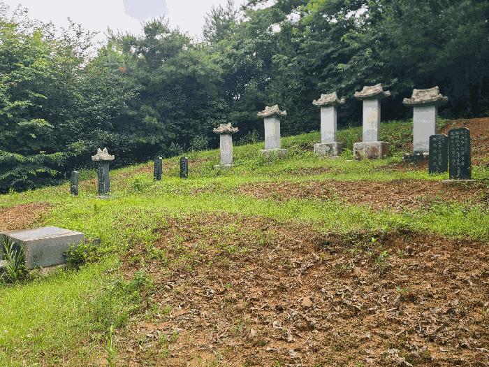법원경매 2024타경36621 사진5 | 양평군 옥천면 용천리 275-11 임야 경매