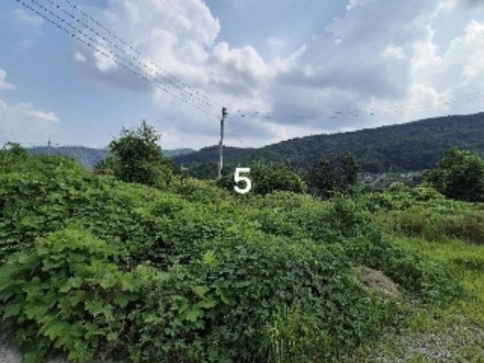 2024타경37273 법원경매 사진15 | 경기 양평군 대지 경매