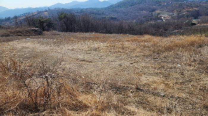 2024타경1035 법원경매 사진10 | 울산 울주군 전 경매