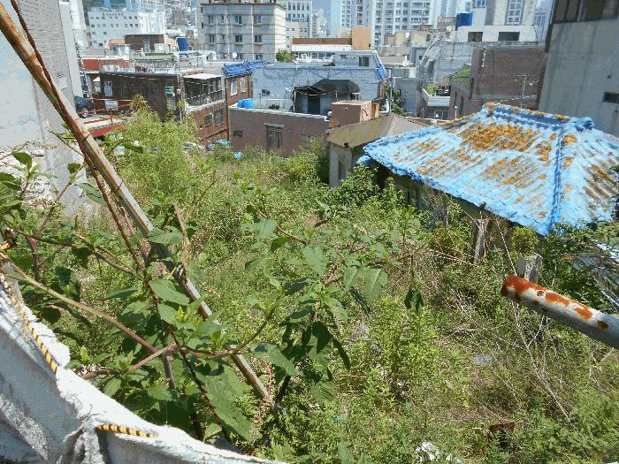 법원경매 2024타경66183 사진7 | 부산 중구 영주동 718 대지 경매