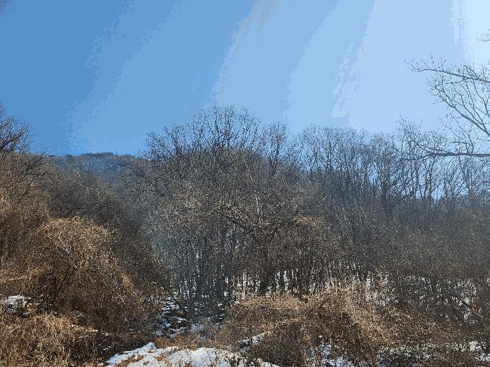 법원경매 2025타경218 사진2 | 가평군 청평면 고성리 642-13 임야 경매