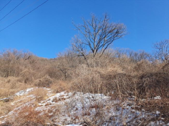 법원경매 2025타경218 사진3 | 가평군 청평면 고성리 642-13 임야 경매