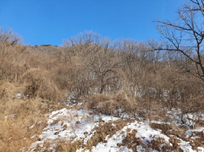 법원경매 2025타경218 사진6 | 가평군 청평면 고성리 642-13 임야 경매