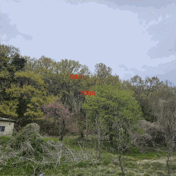 법원경매 2025타경11572 사진2 | 울주군 웅촌면 곡천리 임야 경매
