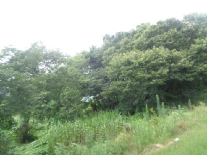 2024타경57336 법원경매 사진5 | 청주 청원구 전 경매