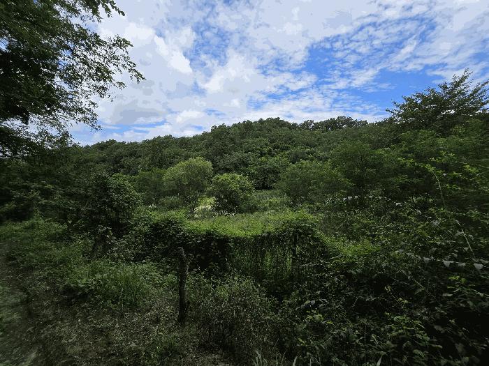 충남 천안시 서북구 신당동 143-1 전 사진 3