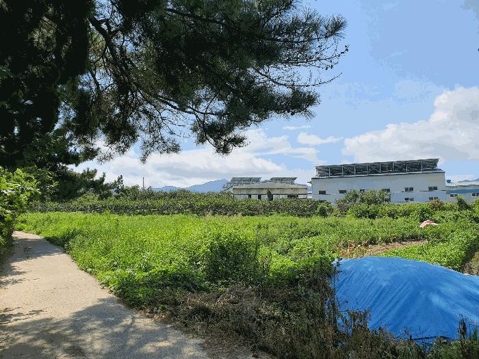 경상남도 김해시 진례면 담안리 446-2 법원경매 물건 대표사진