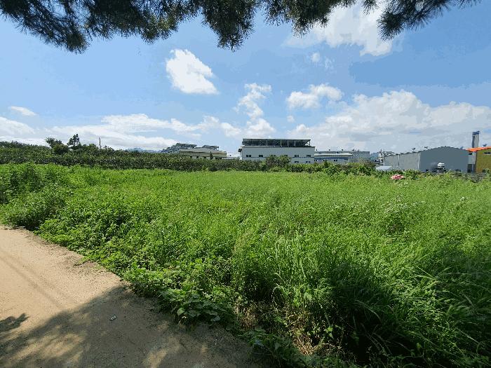 법원경매 2025타경657 사진2 | 김해시 진례면 담안리 446-2 답 경매