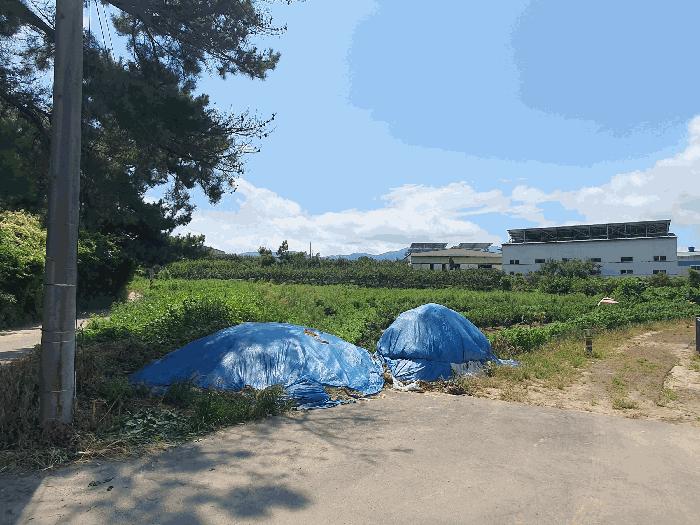 법원경매 2025타경657 사진3 | 김해시 진례면 담안리 446-2 답 경매