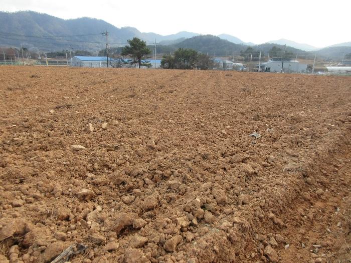 전라남도 나주시 봉황면 죽석리 산97-37 법원경매 물건 대표사진