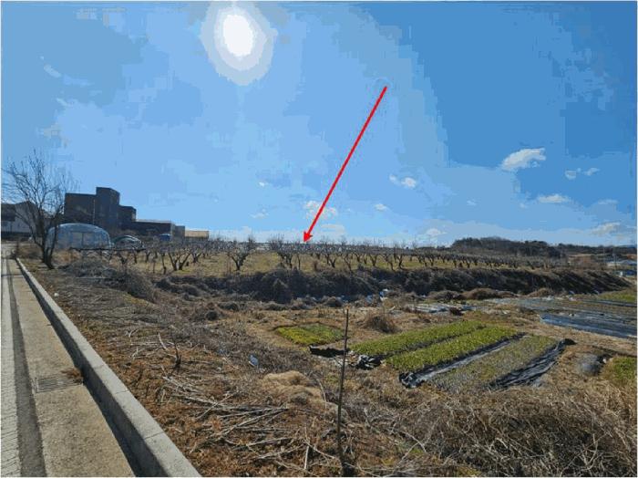 2025타경31983 법원경매 사진6 | 전남 나주시 과수원 경매