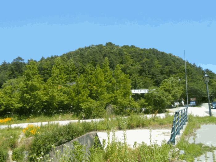 2025타경32867 법원경매 사진7 | 전남 담양군 임야 경매