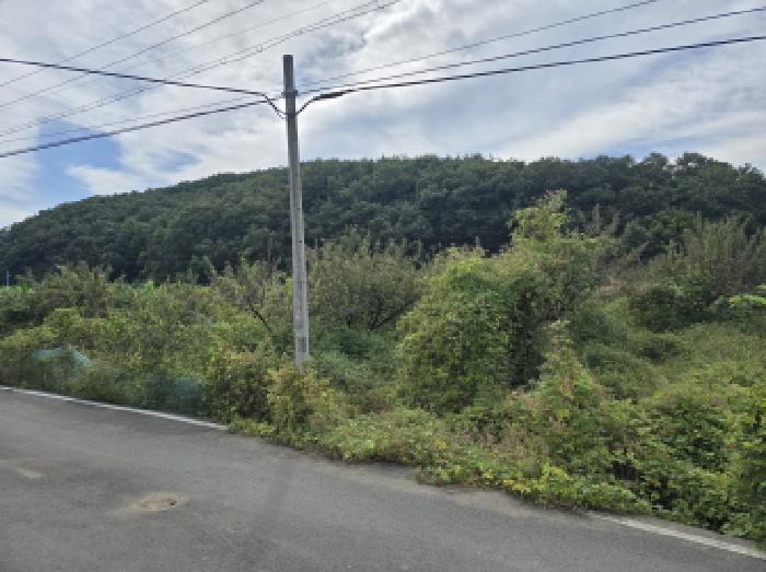 경상북도 영천시 서산동 816-1 법원경매 물건 대표사진
