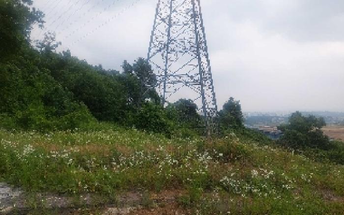 2025타경514 법원경매 사진21 | 충남 아산시 임야 경매