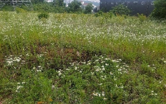 2025타경514 법원경매 사진36 | 충남 아산시 임야 경매