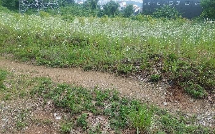 2025타경514 법원경매 사진37 | 충남 아산시 임야 경매