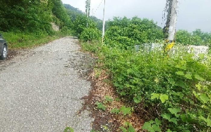 2025타경514 법원경매 사진41 | 충남 아산시 임야 경매
