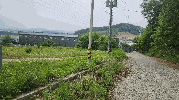 2025타경514 법원경매 사진9 | 충남 아산시 임야 경매
