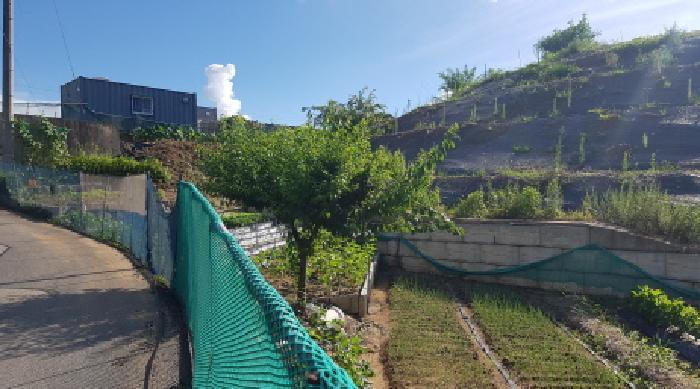 2025타경602 법원경매 사진11 | 천안 동남구 전 경매