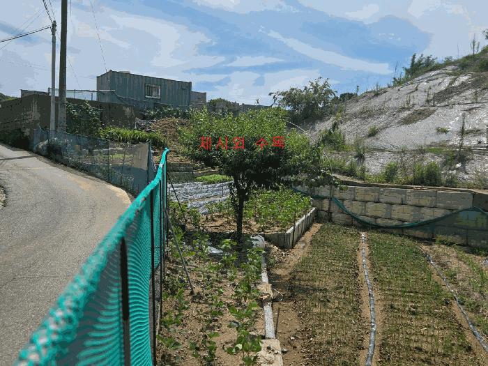 2025타경602 법원경매 사진6 | 천안 동남구 전 경매